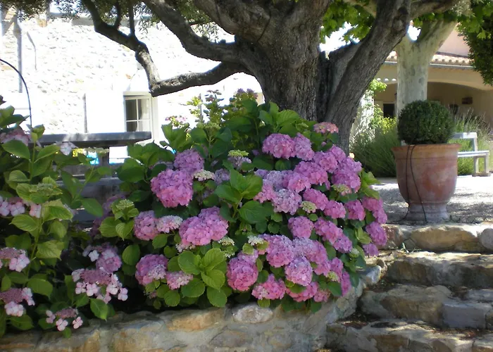 Bed & Breakfast Bastide De Fontvieille 4*