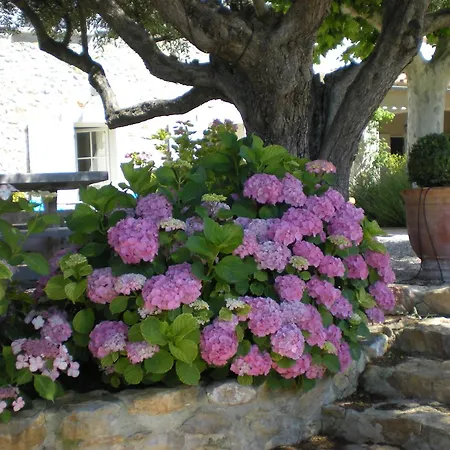 Bed & Breakfast Bastide De Fontvieille 4*