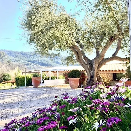 Bastide De Fontvieille 4* Saint-Cyr-sur-Mer
