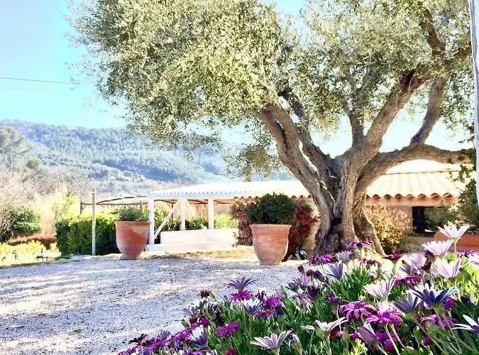 Bastide De Fontvieille 4* Сен-Сир-сюр-Мер